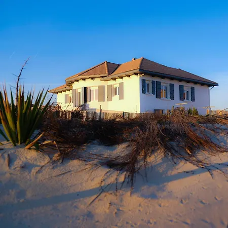 Unique - Superbe 1ere Ligne Ocean Mimizan Plage